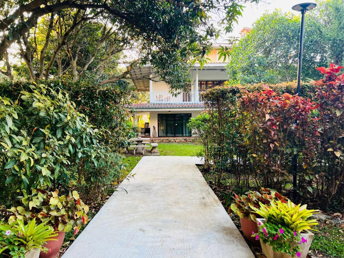 Hotel Jardin De Mangue Pak Chong Esterno foto